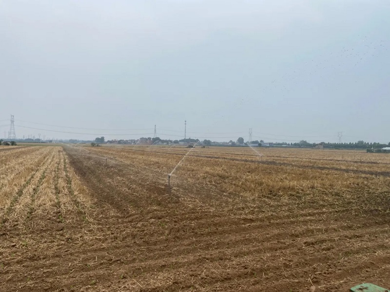 1639388262431.jpg 3.jpg