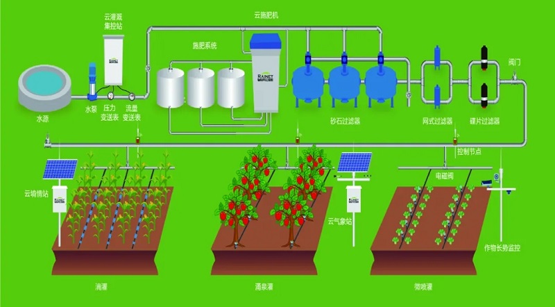 1641379497089.jpg 640.webp.jpg