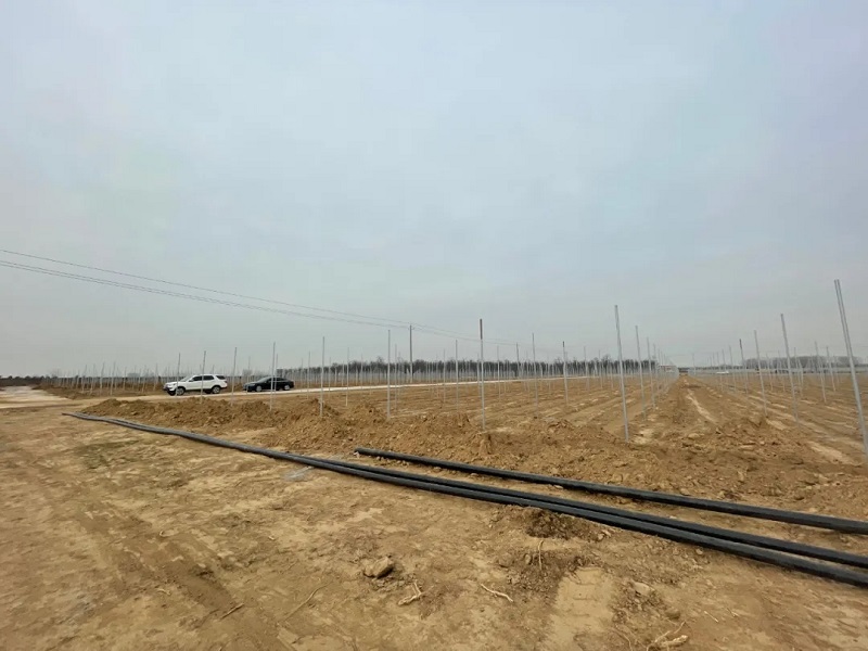 1641379606416.jpg 640.webp (3).jpg