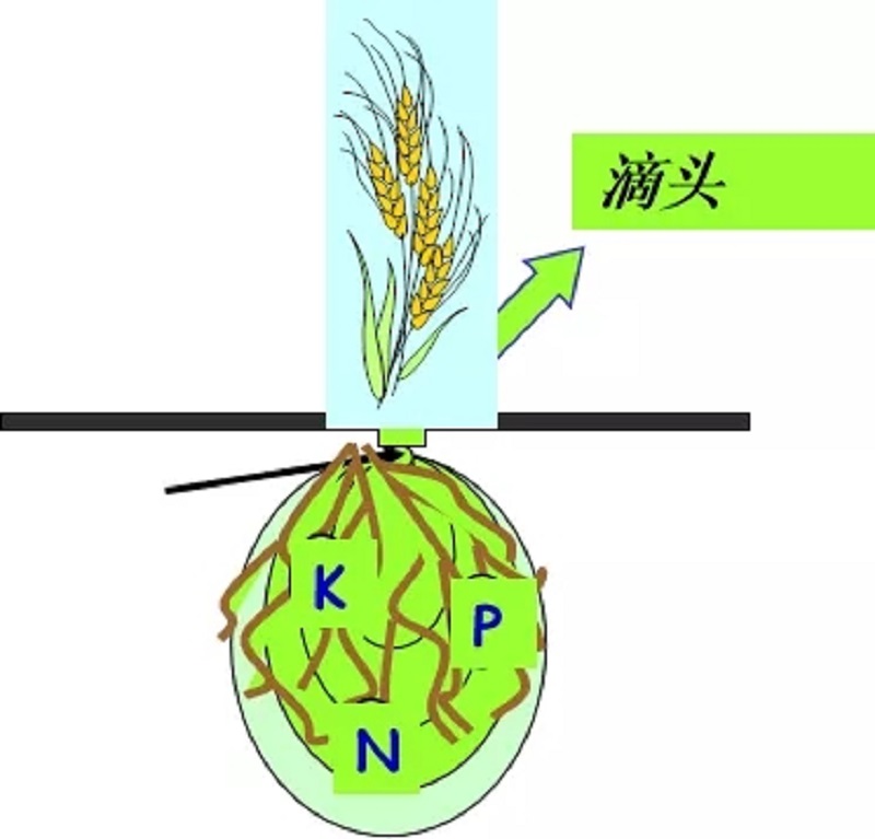 1641811886719.jpg 640.webp (1).jpg