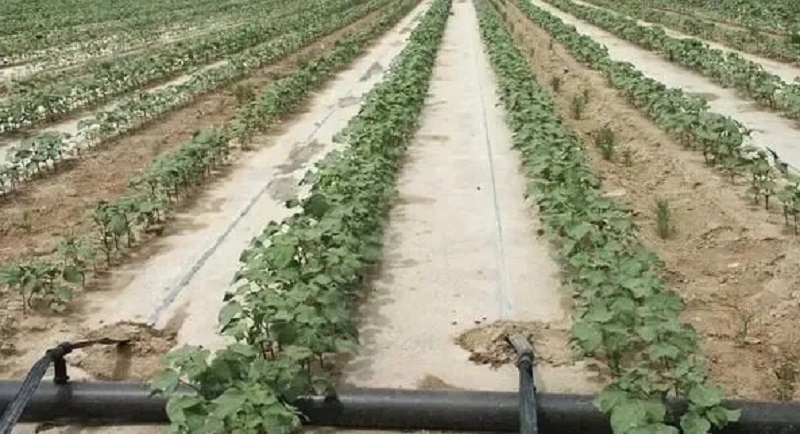 1641811901058.jpg 640.webp (2).jpg