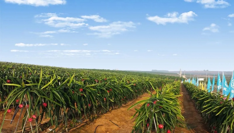 1641811921296.jpg 640.webp (4).jpg