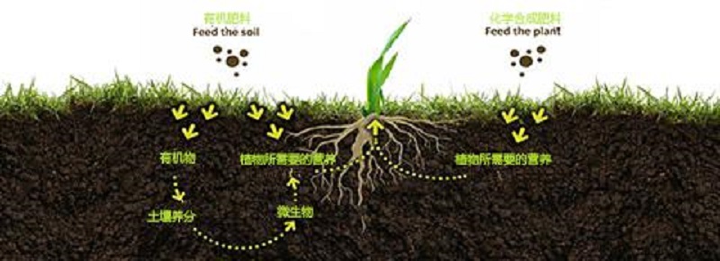 1643020302393.jpg 1.jpg