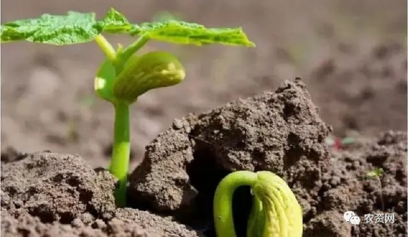 1643020349287.jpg 3.jpg