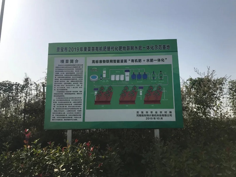 1643020356922.jpg 4.jpg