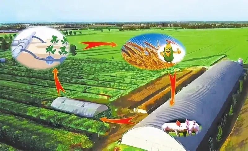 1645441160321.jpg 640.webp.jpg