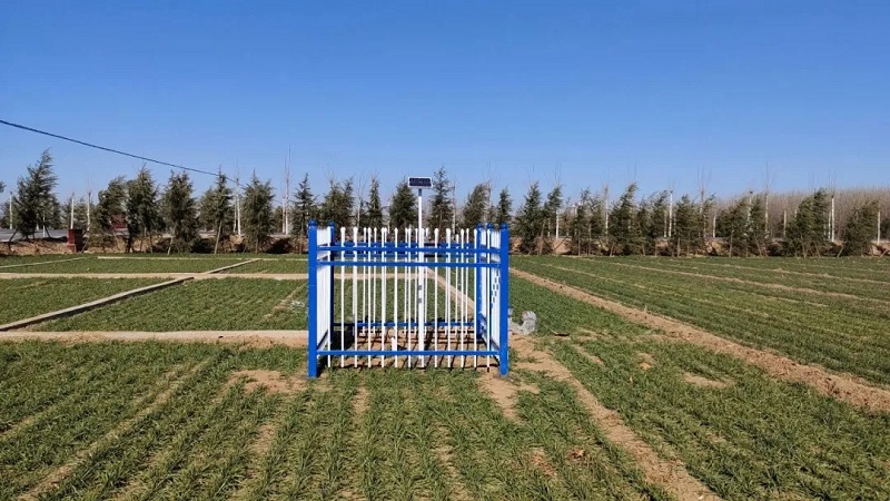 1645441251056.jpg 640.webp (7).jpg