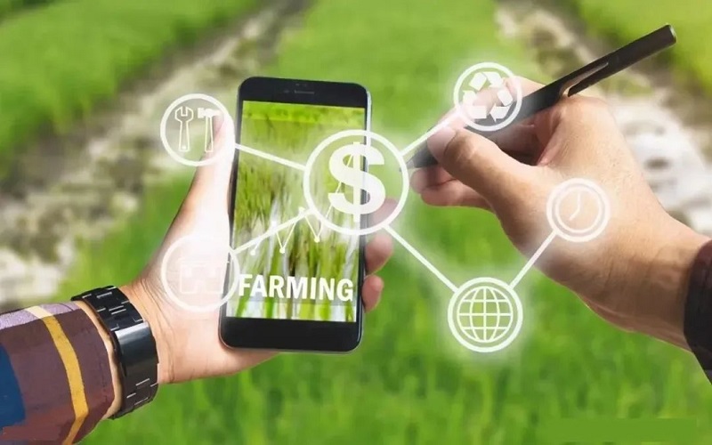 1652084880878.jpg 640 (4).jpg