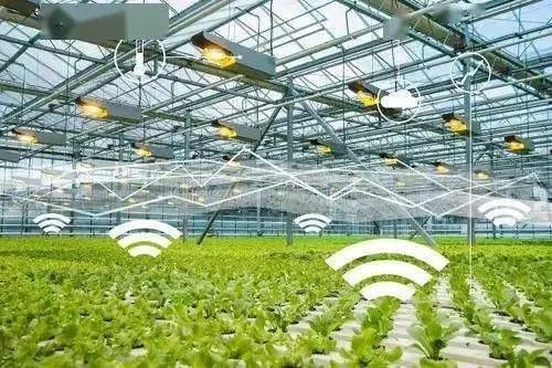 1653986053841.jpg 1.jpg