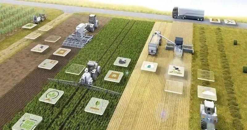 1654510929430.jpg 640.jpg