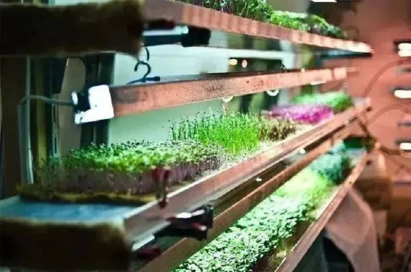 1654510971407.jpg 640 (3).jpg