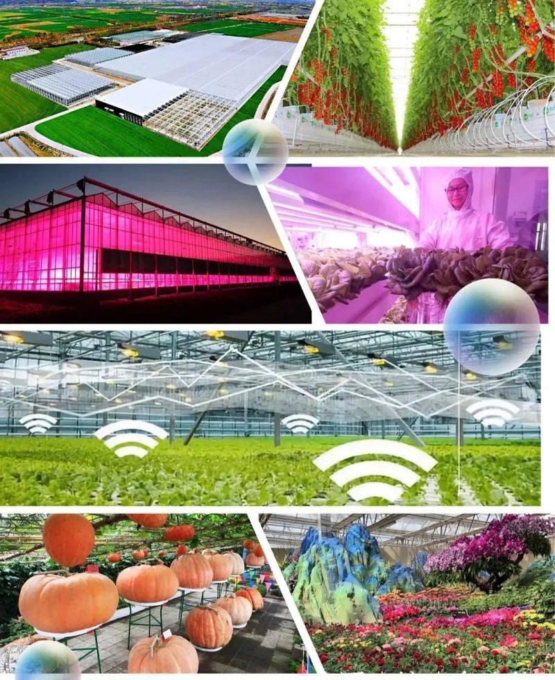 1655275912391.jpg 640.jpg