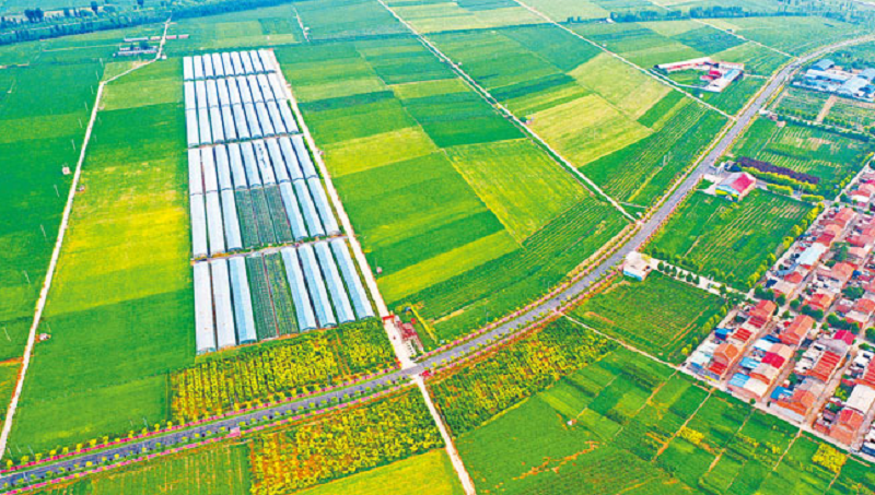 1655275925794.png 640.png