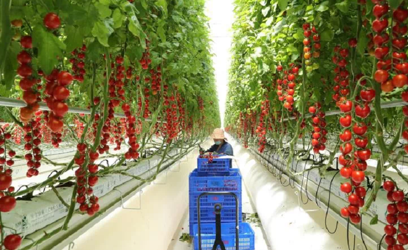 1655275940682.png 640 (1).png