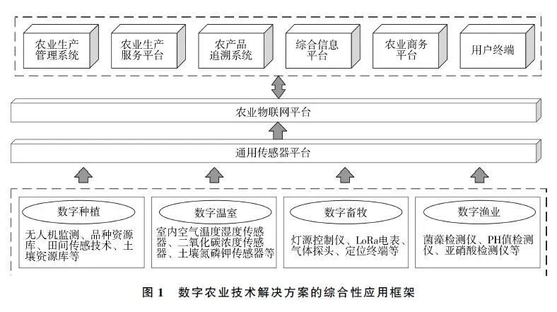 1762155510004.jpg 640 (1).jpg