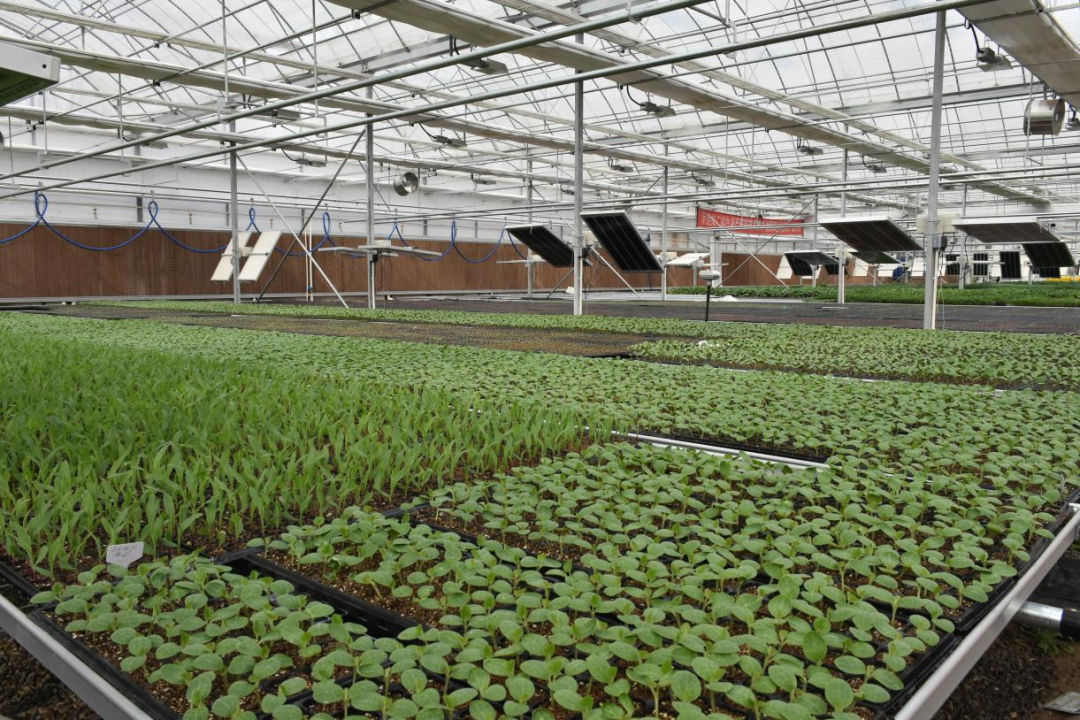 1762155556558.png 640 (1).png