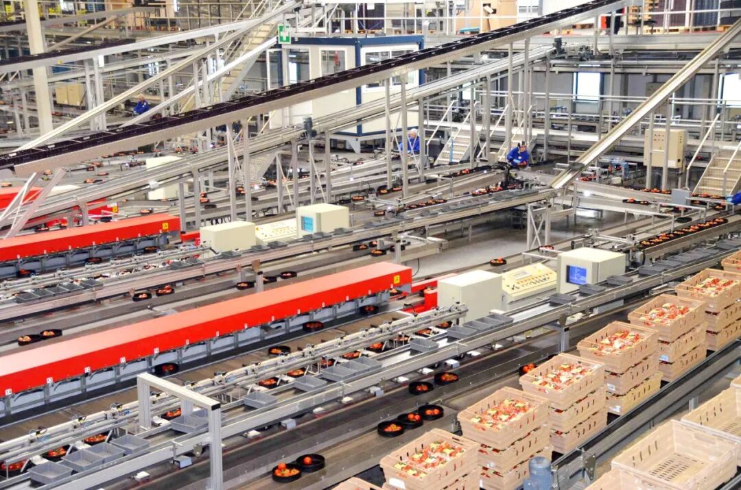 1762155683396.jpg 640 (3).jpg