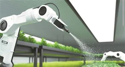 1763972234318.jpg 640.jpg