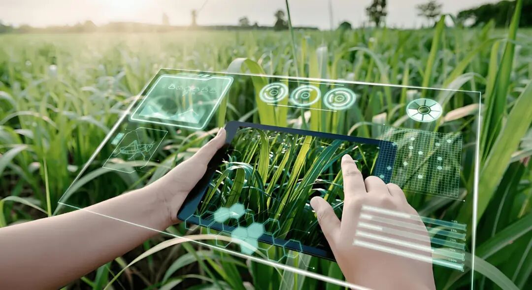 1763972310715.jpg 640 (1).jpg