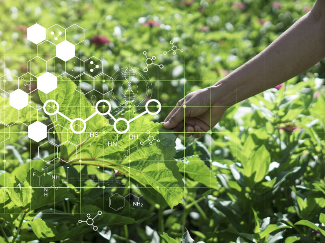 1763972356703.png 640 (1).png