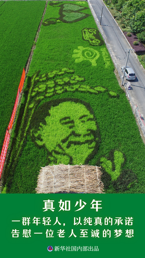 微信图片_20210531211642.png
