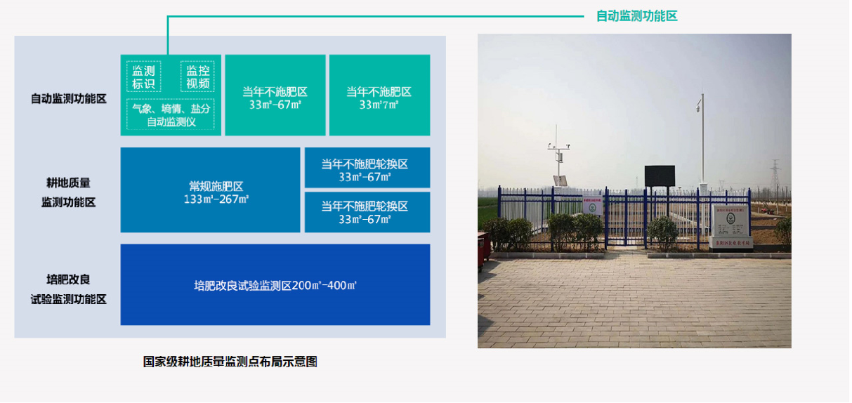 分布图.png