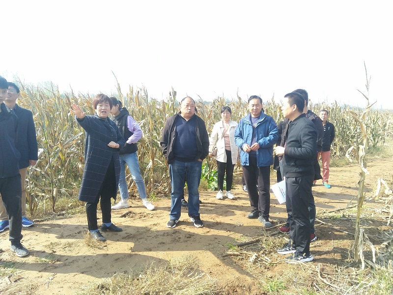 陈灿灿 2021-10-21 11-21-33.jpg