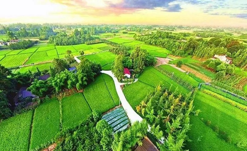 640.jpg